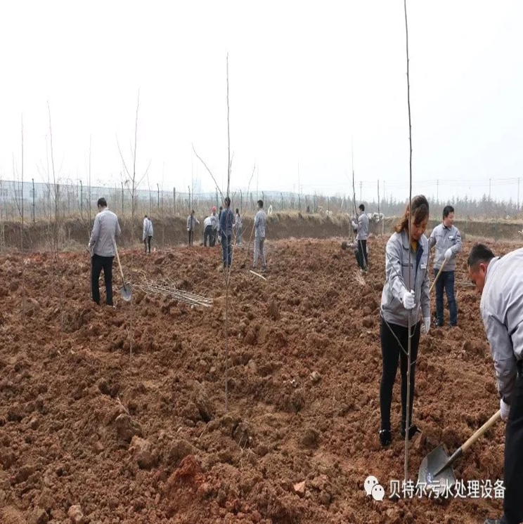 貝特環(huán)保開展“積極參加義務植樹,建設美麗貝特環(huán)?!被顒? onmousewheel=